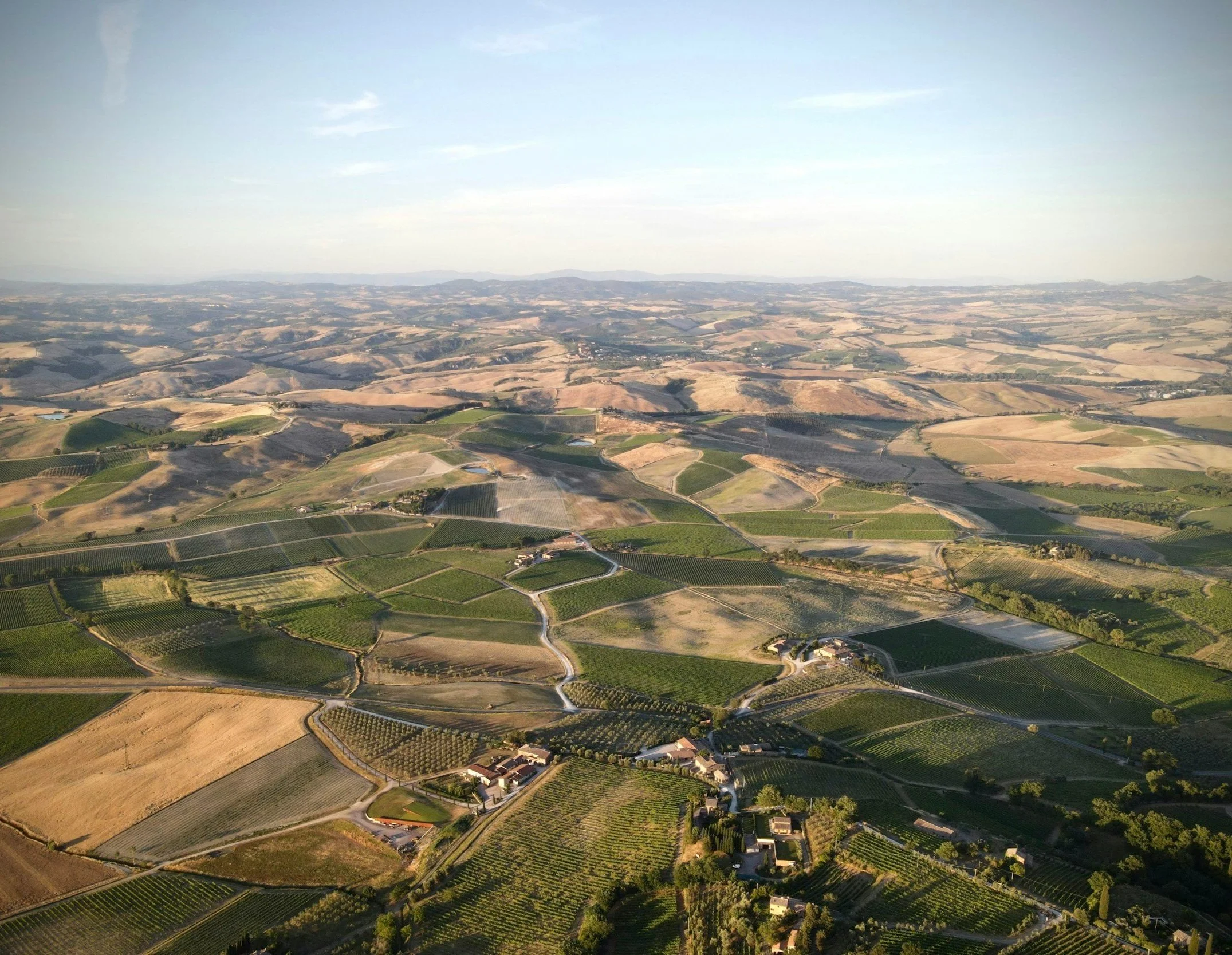 Aerial view of rolling Tuscan vineyard hills